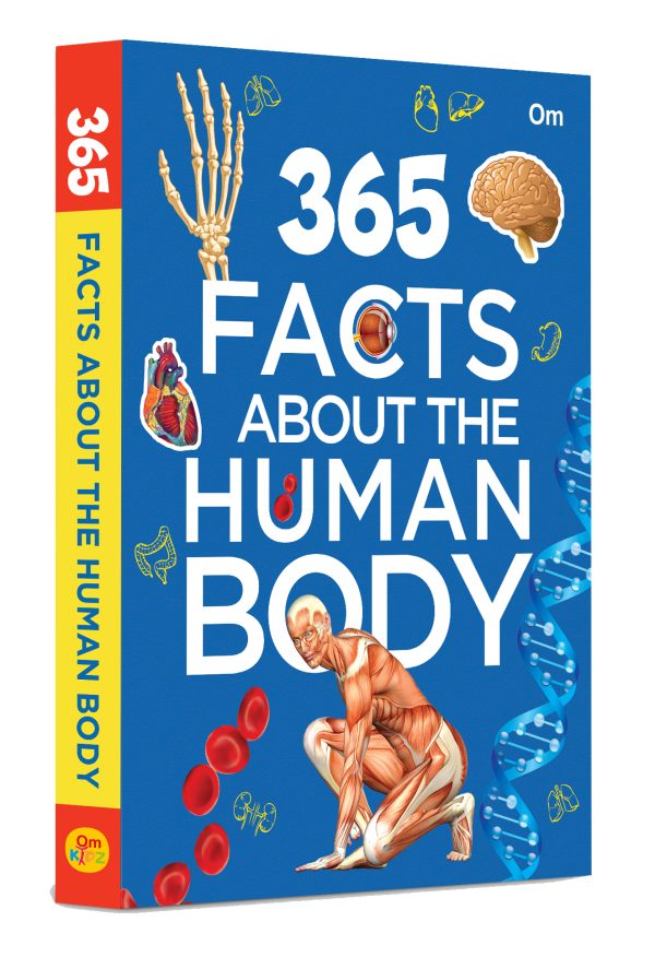 human body book for children