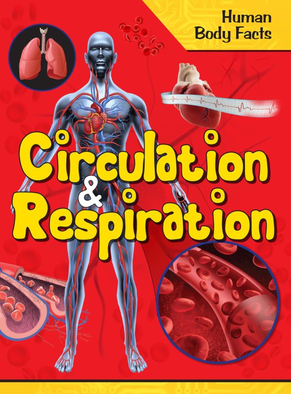 Circulation & Respiration : Human Body Facts