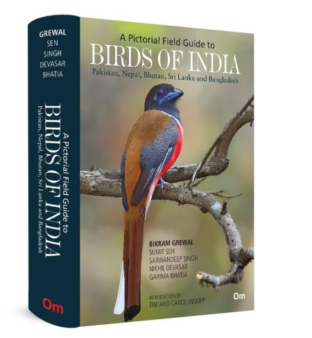 Birds of India