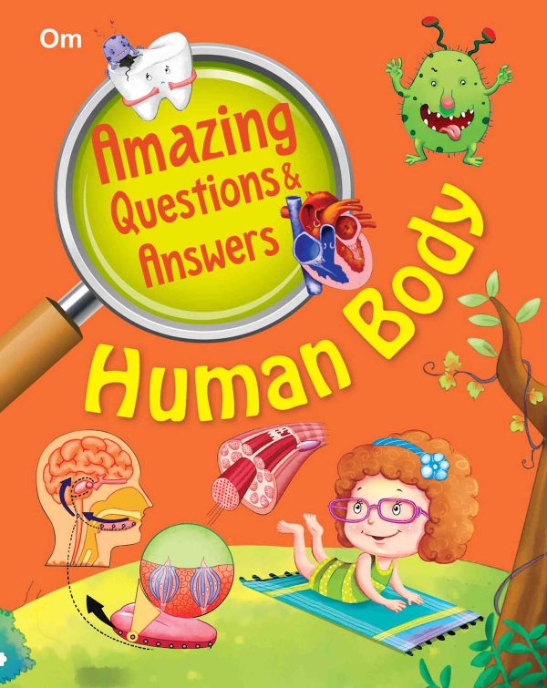 Amazing Questions & Answers Human Body