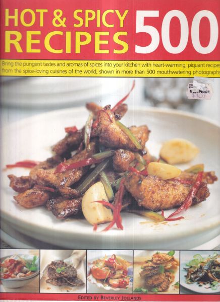 Hot & Spicy Recipes 500