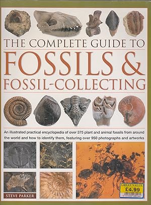 The Complete Guide To Fossils & Fossil-collecting