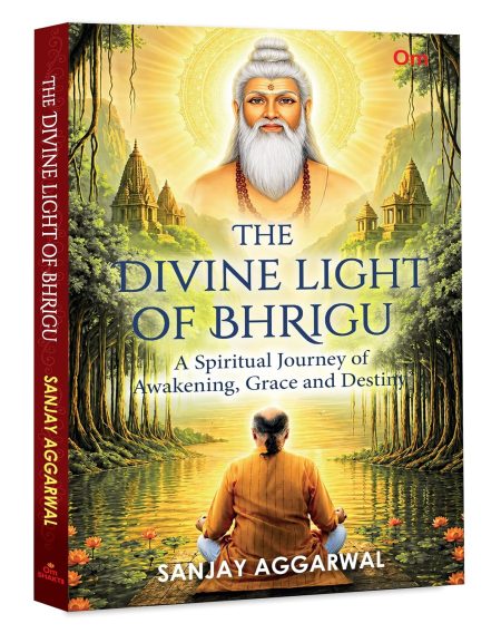 The Divine Light of Bhrigu - A Spiritual Journey of Awakening, Grace and Destiny