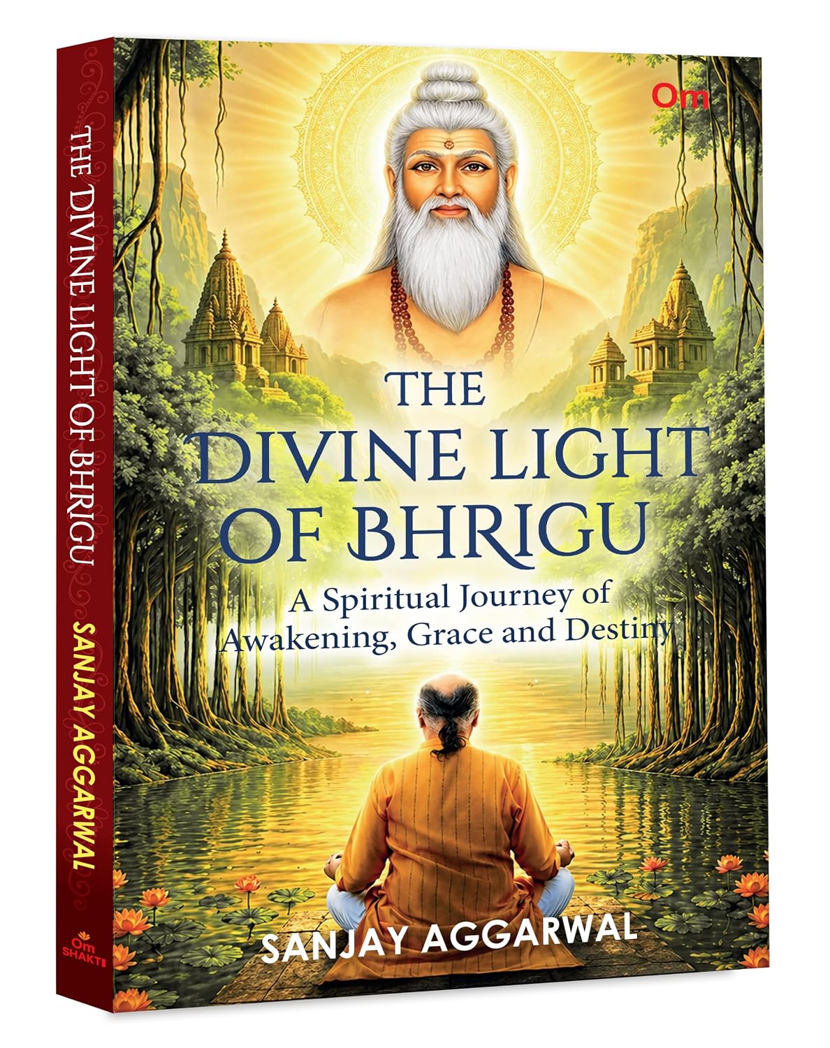The Divine Light of Bhrigu - A Spiritual Journey of Awakening, Grace and Destiny